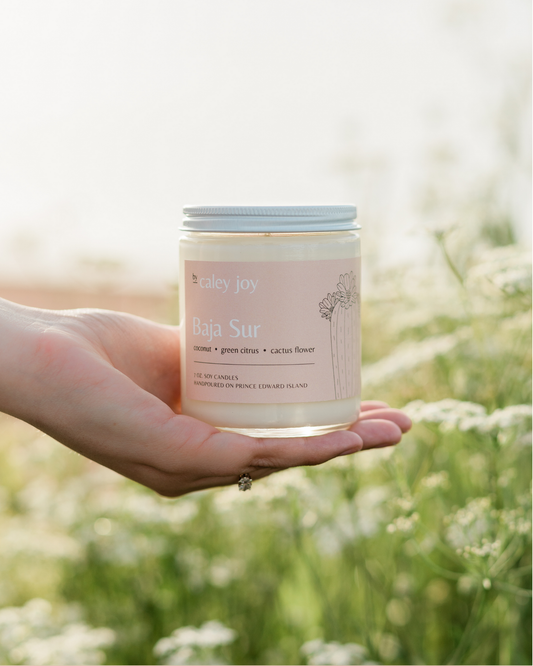 Baja Sur | Bougies artisanales