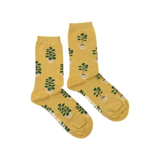 Paire de chaussettes dépareillées sur fond blanc. Les deux chaussettes sont jaune moutarde. Sur l’une on peut voir des grands ficus en pot et sur l’autre des plus petits ficus aussi en pot.