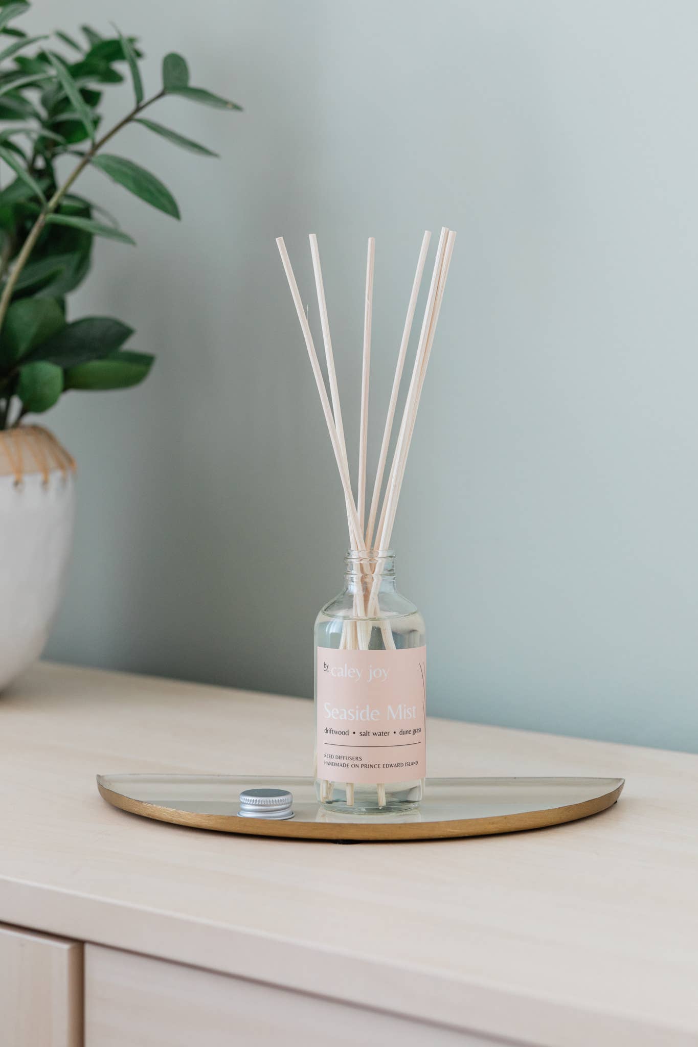 Seaside Mist - Diffuseur à roseaux parfum linge frais longue durée
