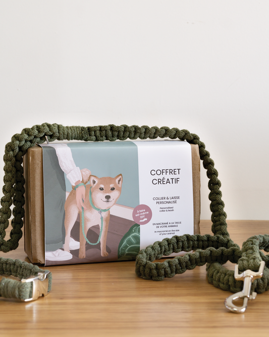 Coffret complet pour fabriquer sois même un collier et une laisse pour chien en macramé.