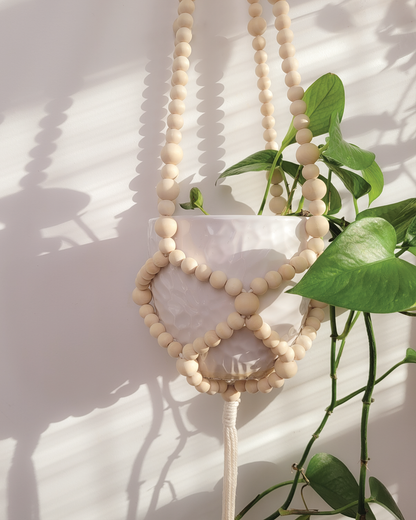 Kit de fabrication de suspension pour plante