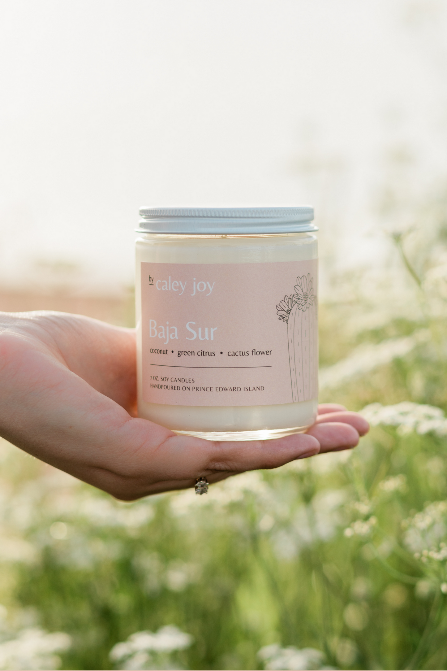 Bougie parfum fleur de cactus et agrumes verts tenue dans la main en lumiere naturelle