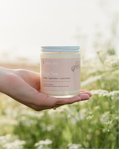 Baja Sur | Bougies artisanales