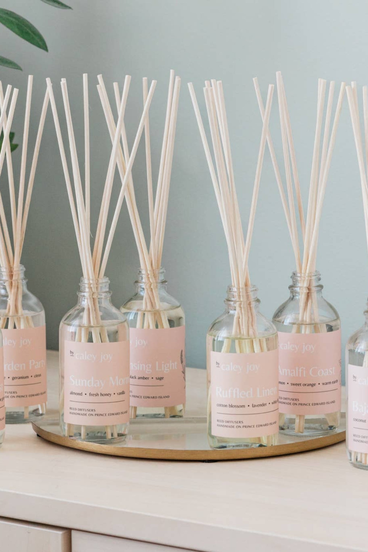 Collection de diffuseurs a roseaux en verre + parfum floral elegant longue duree