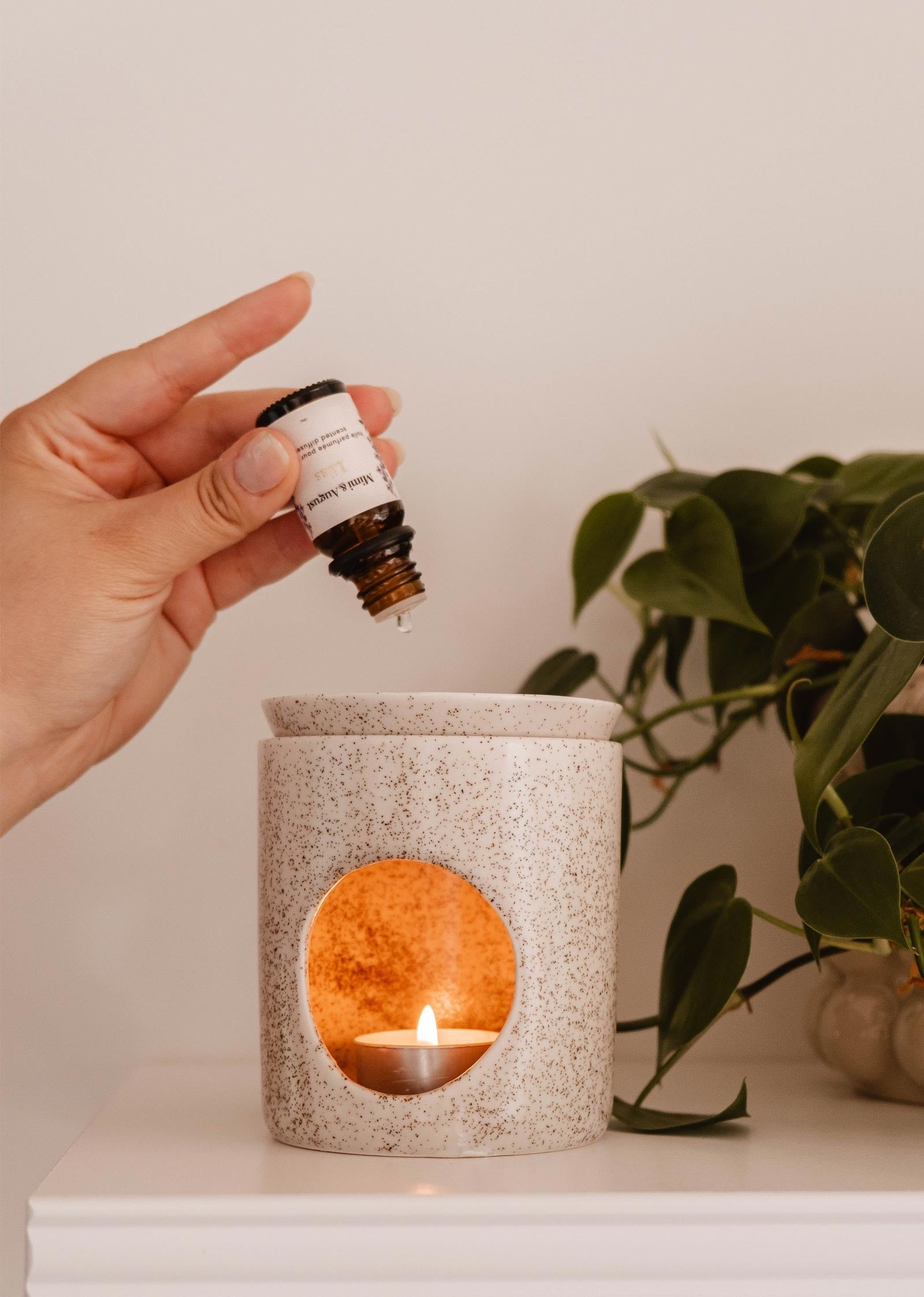 Sur cette photo, on peut voir quelqu'un tenir la bouteille d'huile parfumée et faire tomber quelques gouttes dans un diffuseur d'huile essentielle à bougie de chez Mimi & August. En arrière-plan, on peut voir une plante.