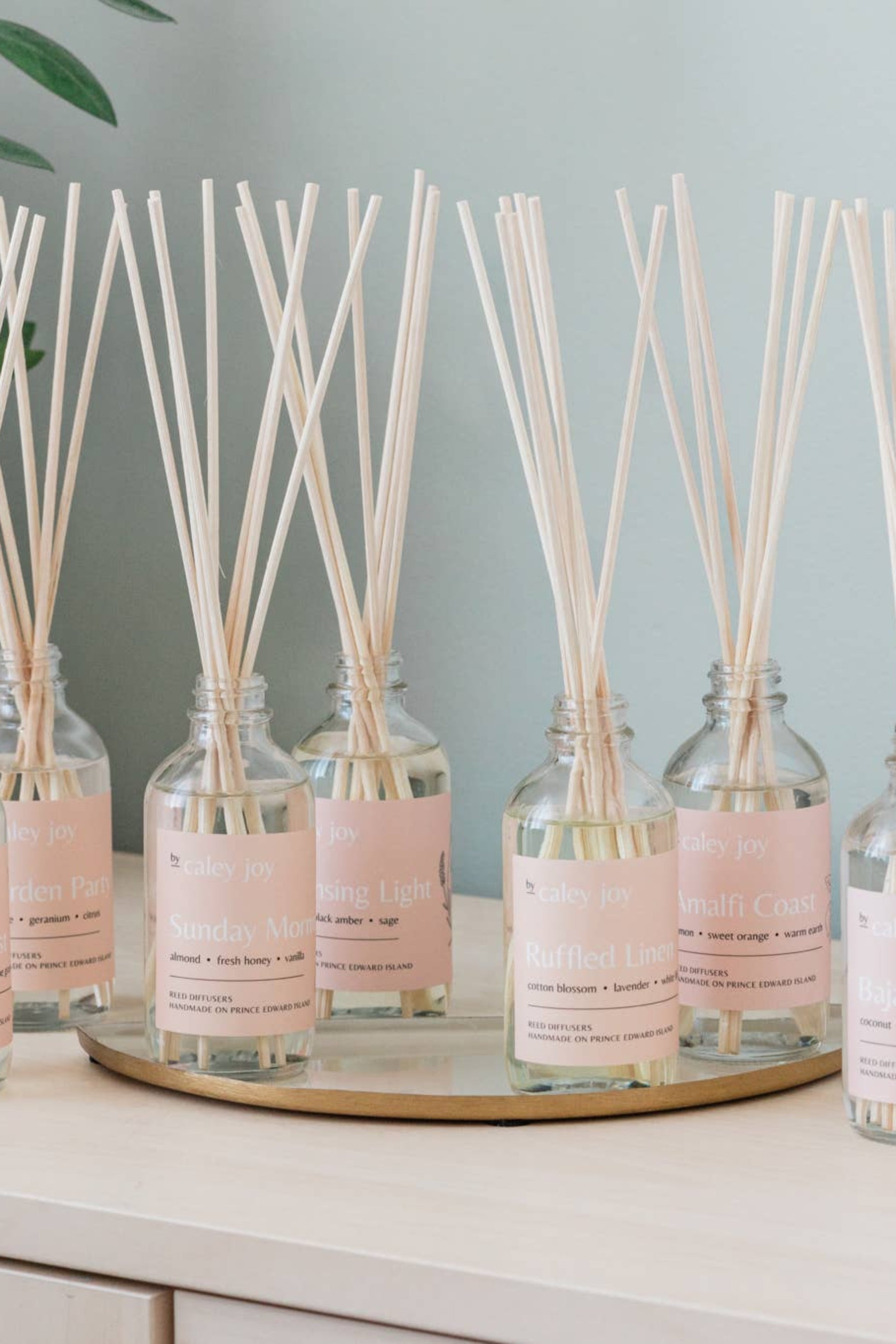 Ensemble de diffuseurs a roseaux Lin a volants parfum linge frais longue duree